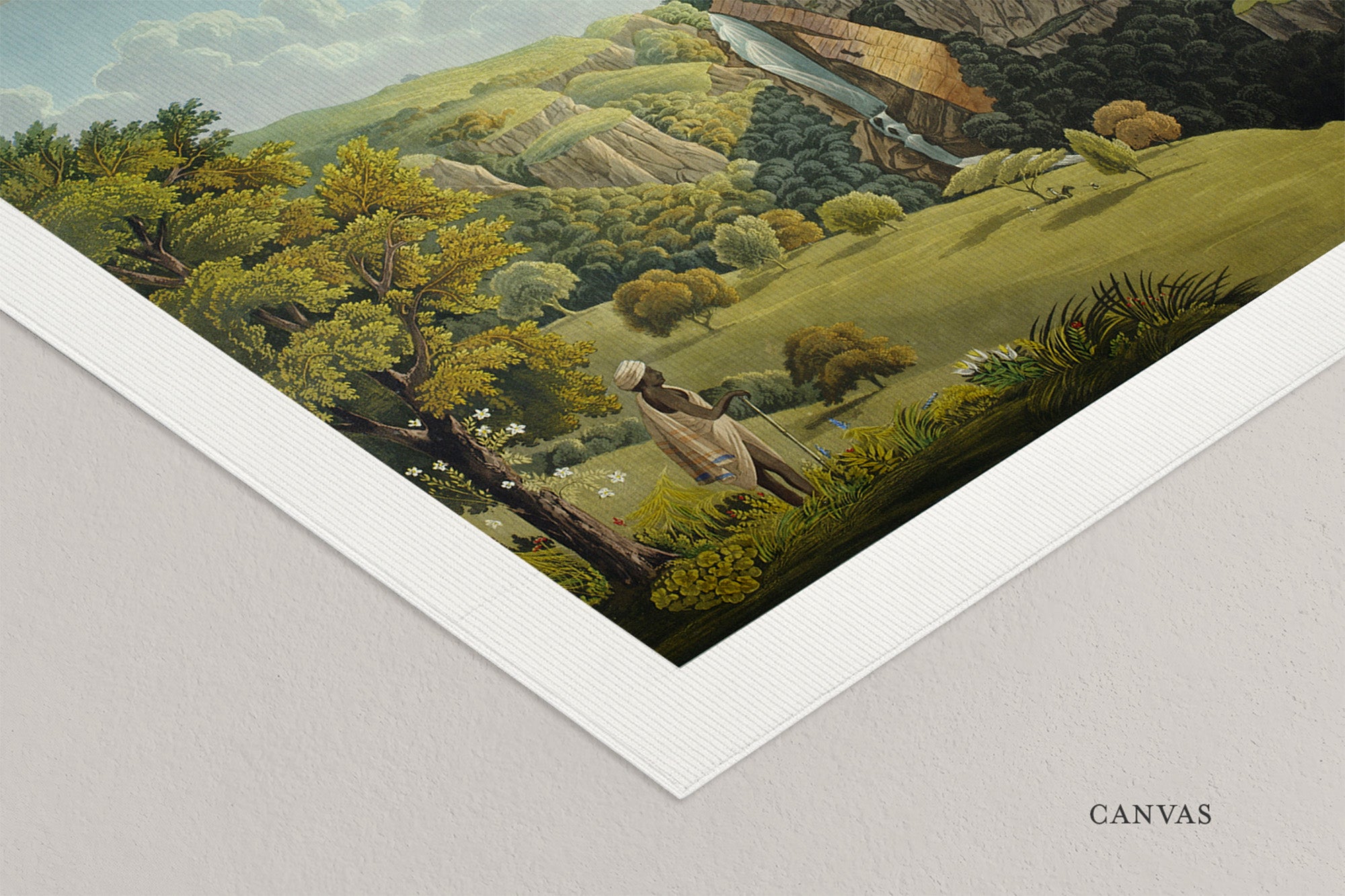 Forest: Nilgiri Falls