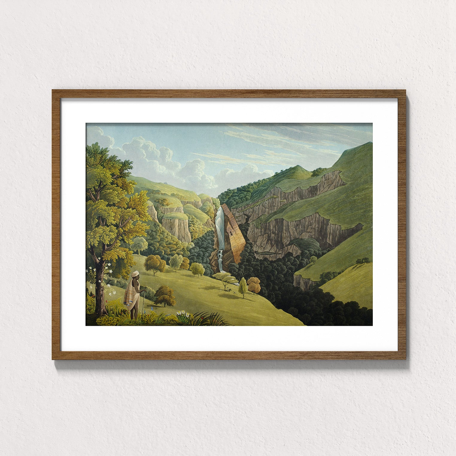 Forest: Nilgiri Falls