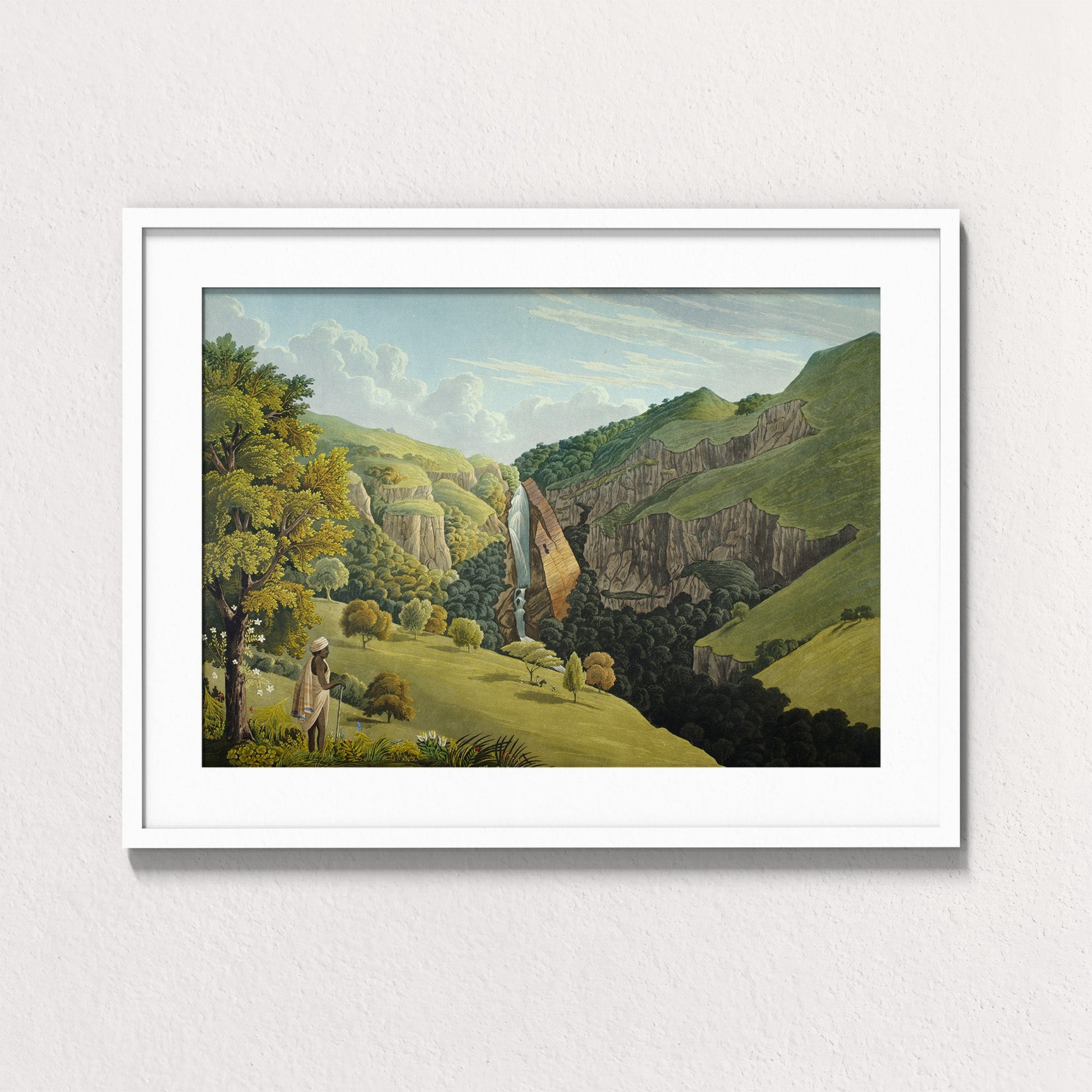 Forest: Nilgiri Falls