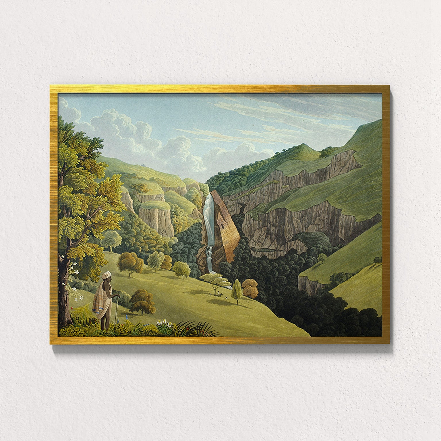 Forest: Nilgiri Falls