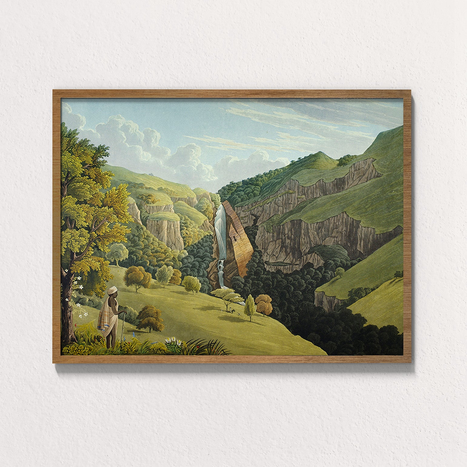 Forest: Nilgiri Falls