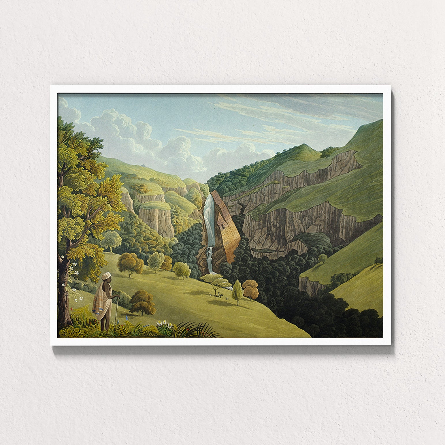 Forest: Nilgiri Falls