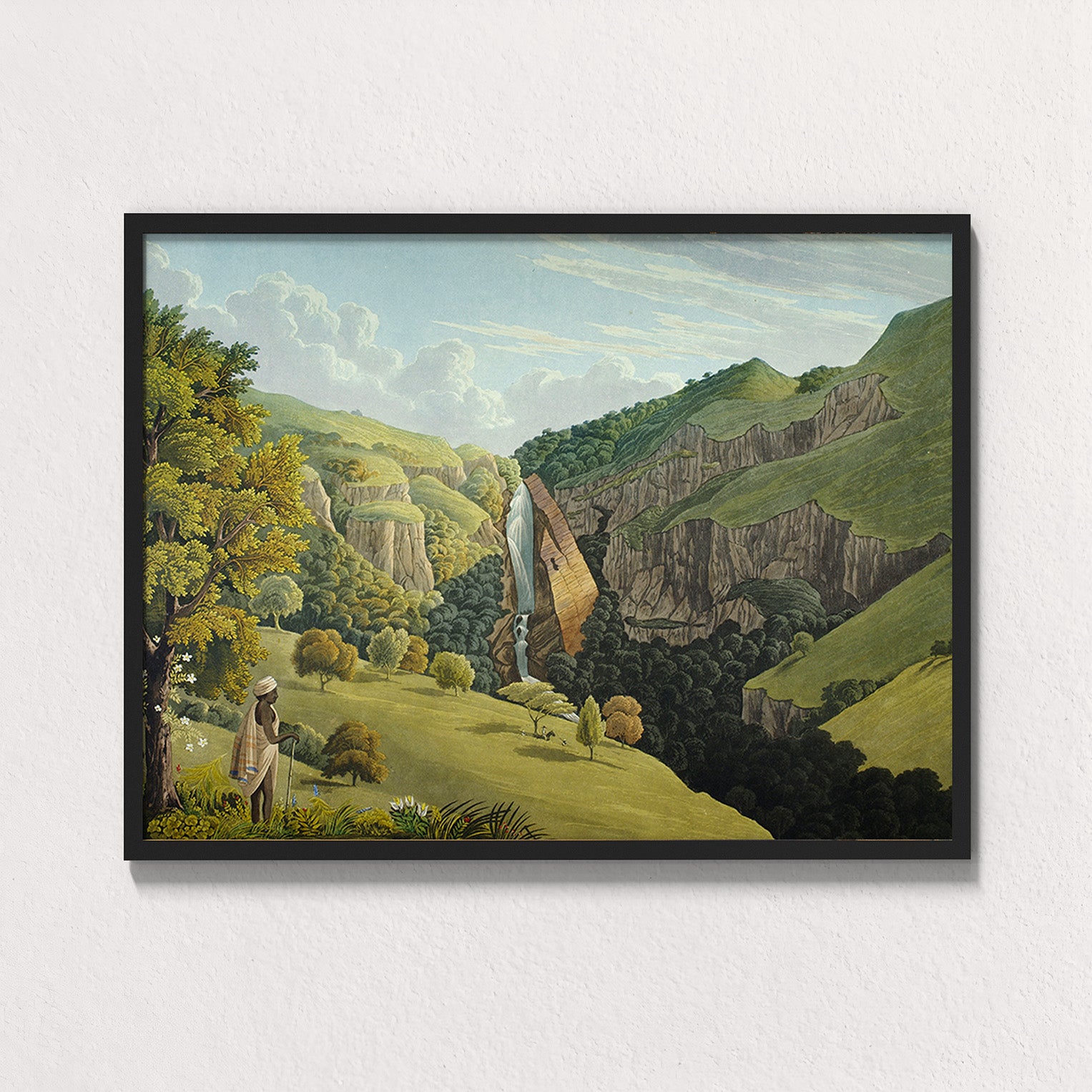 Forest: Nilgiri Falls