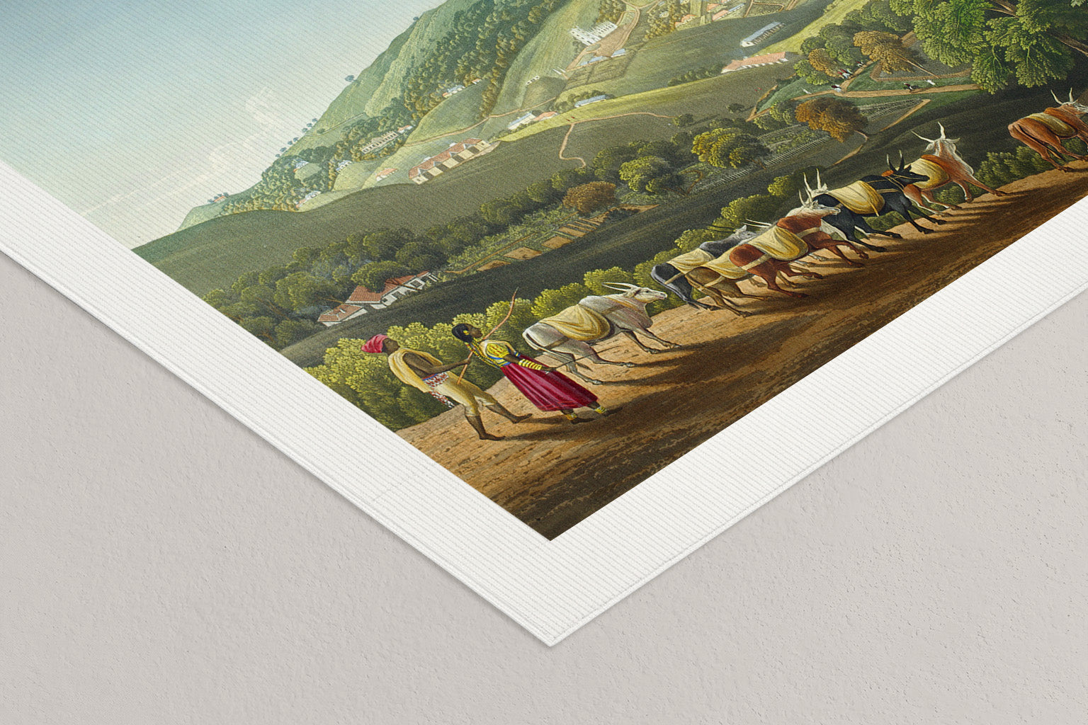 Hills of Coexistence