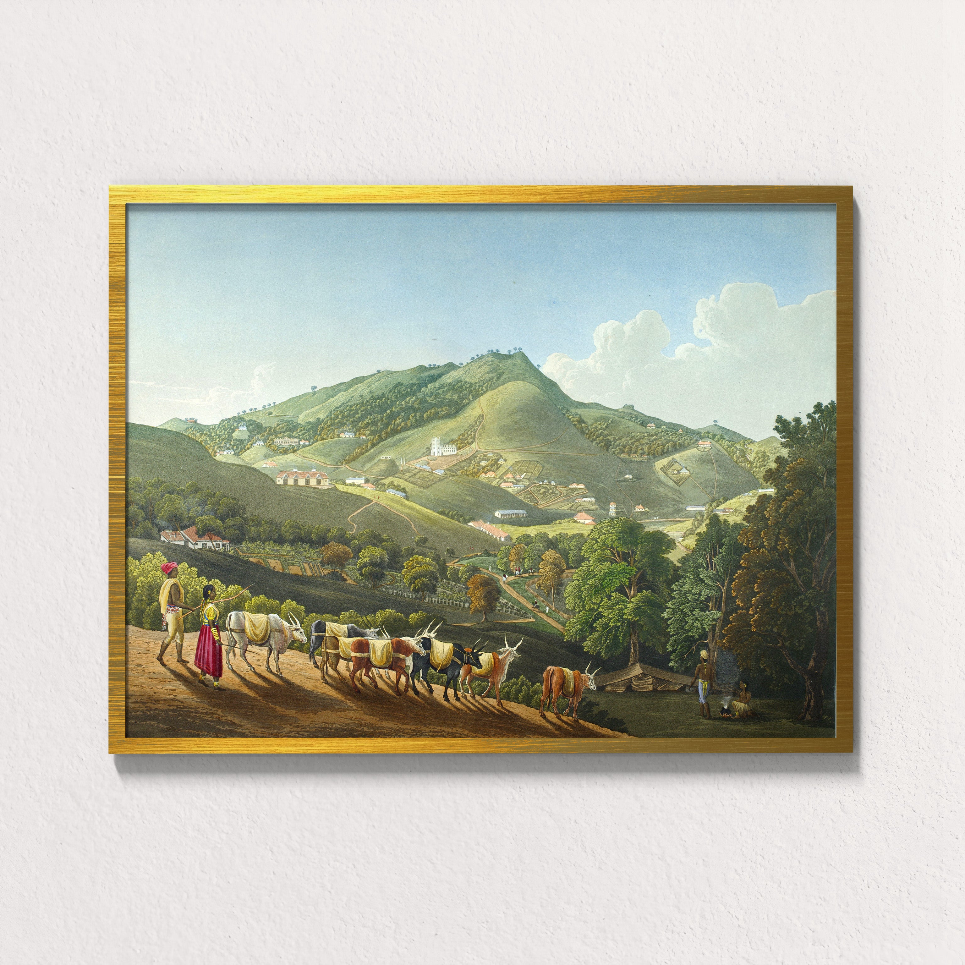 Hills of Coexistence