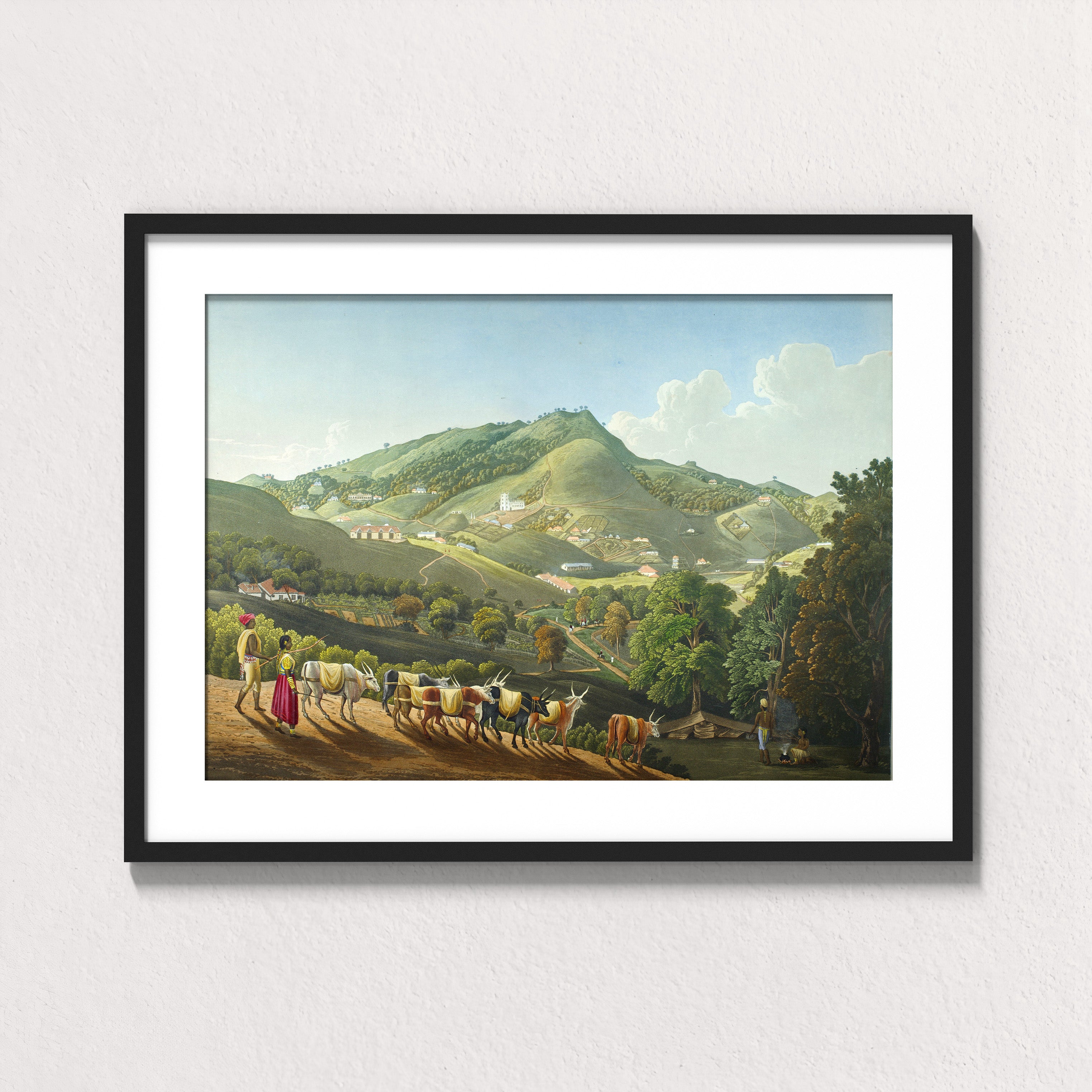 Hills of Coexistence