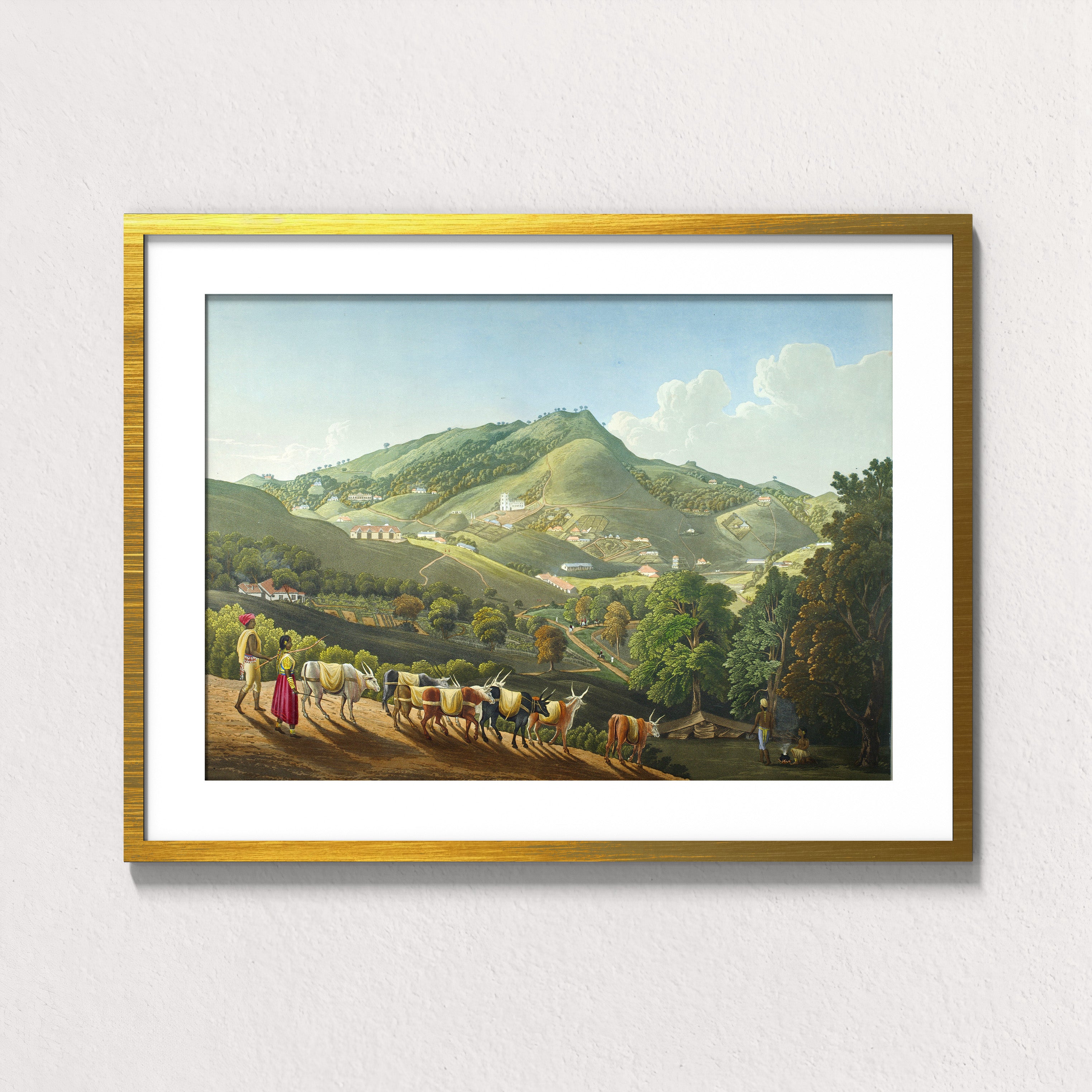 Hills of Coexistence