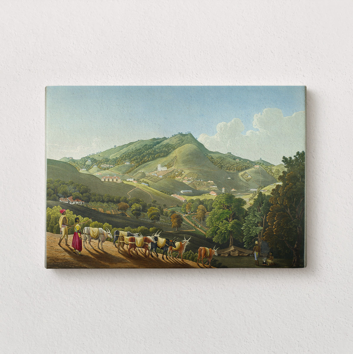 Hills of Coexistence