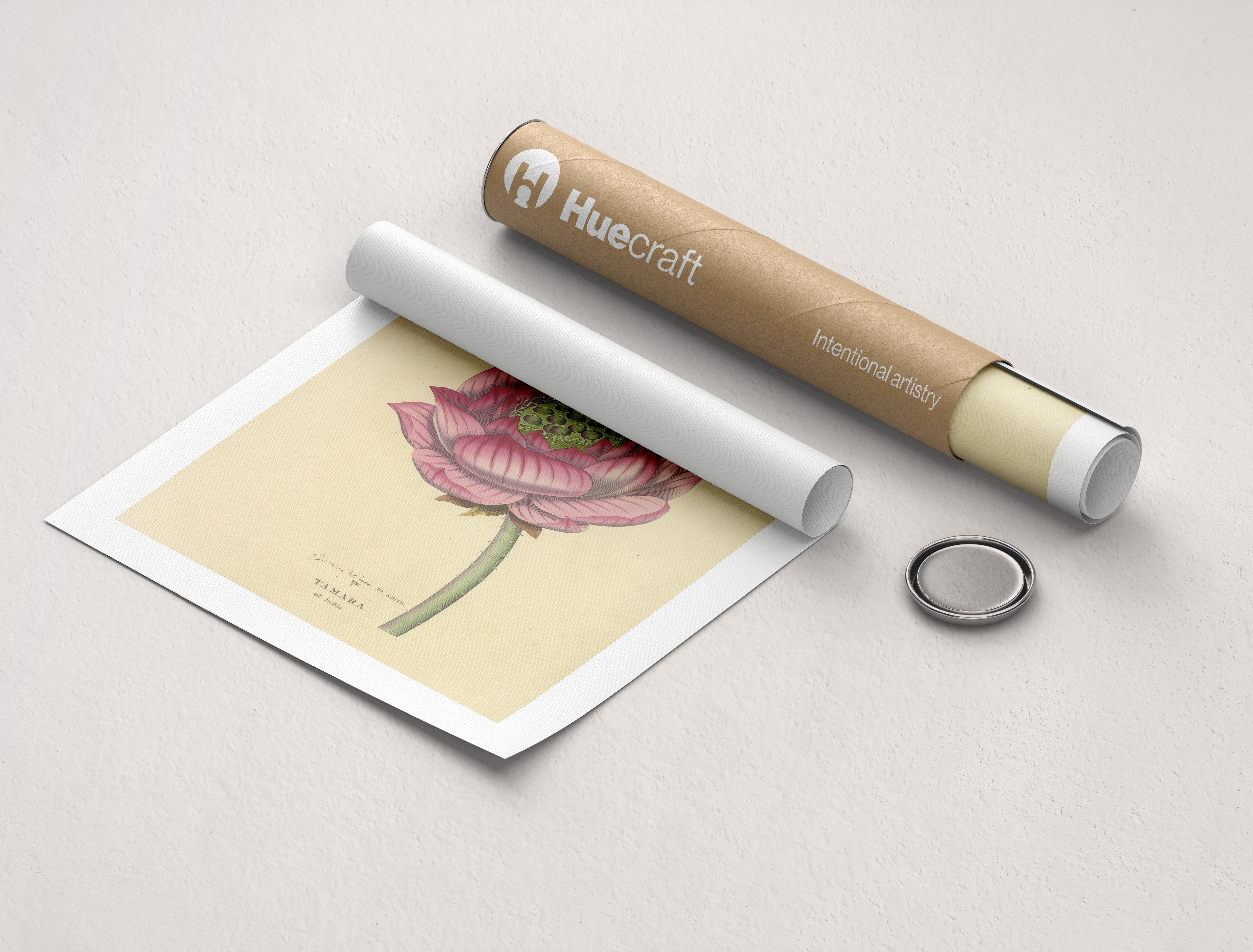 Sacred Lotus of India